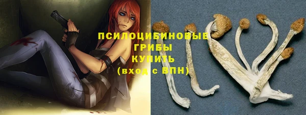 эйфоретик Алексин