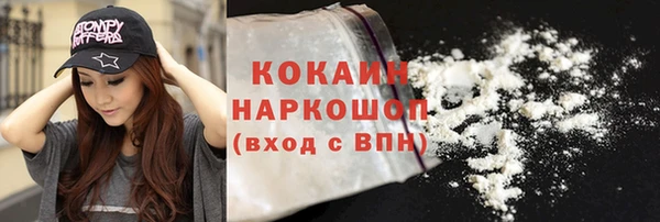 тгк Абаза