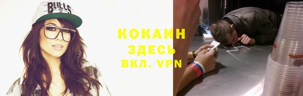 твердый Алзамай