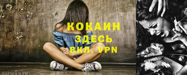 эйфоретик Алексин