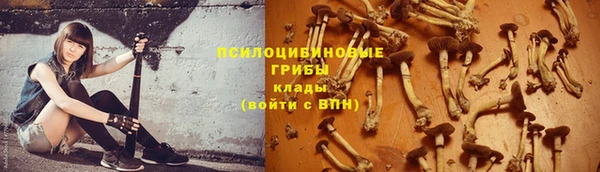 твердый Алзамай